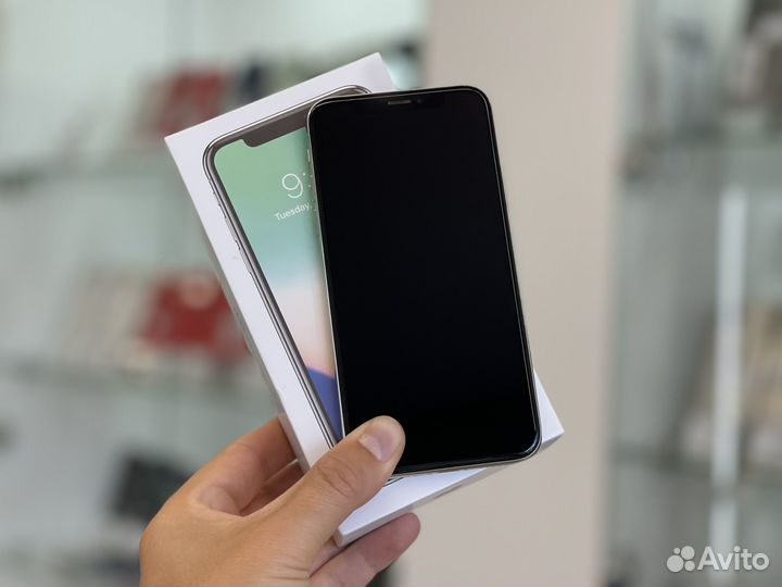 iPhone X, 256 ГБ