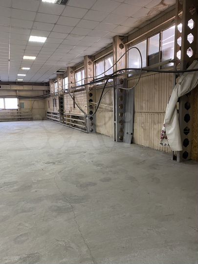 Свободного назначения, 272 м²