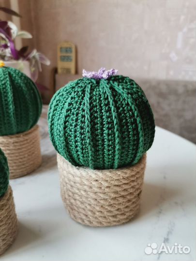 Кактус декоративный вязанный