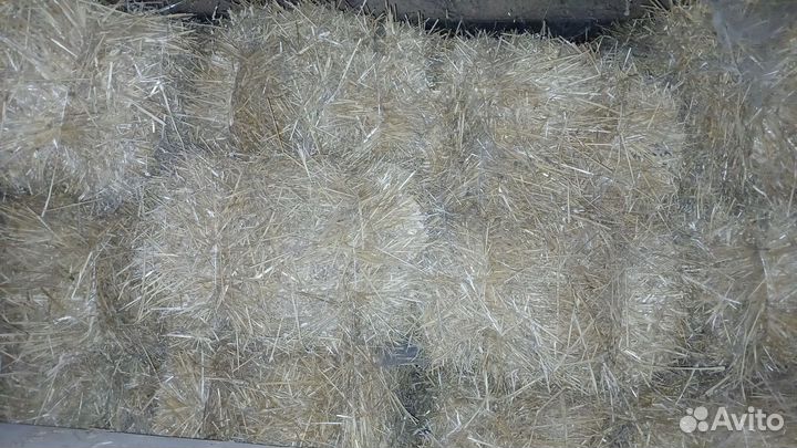 Солома пшеничная