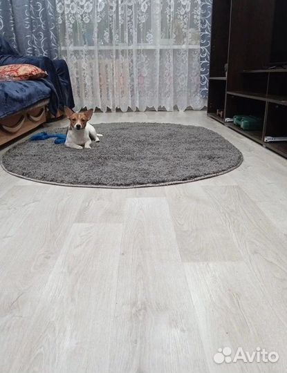 Линолеум Стимyл Ригаpд 5 Шир. до 4м Бытовой утепле