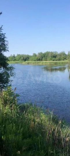 Дом 36 м² на участке 22 сот.