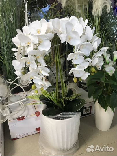 Белые орхидеи букет композиция готовая с горшком