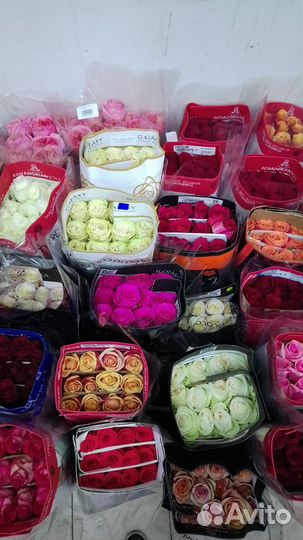 Цветы опт розница доставка цветов