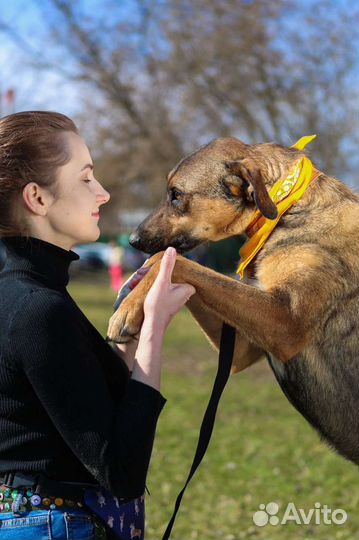 Волчок Август ищет маму