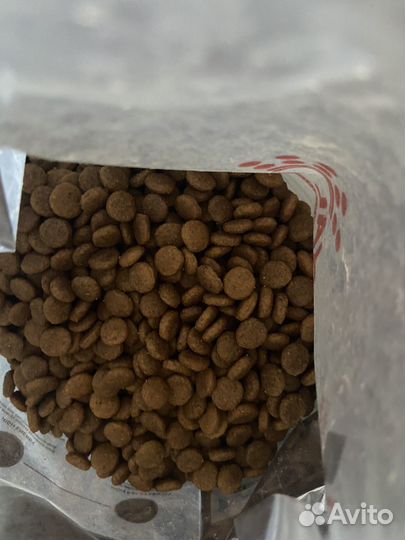 Корм для собак