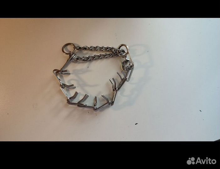 Строгий ошейник