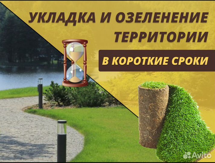 Рулонный газон Элитный под ключ