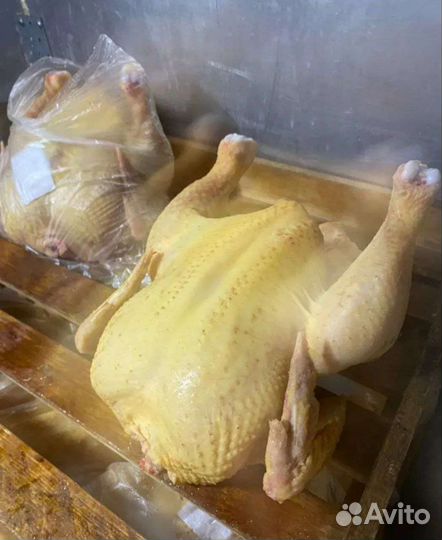 Мясо домашнего бройлера