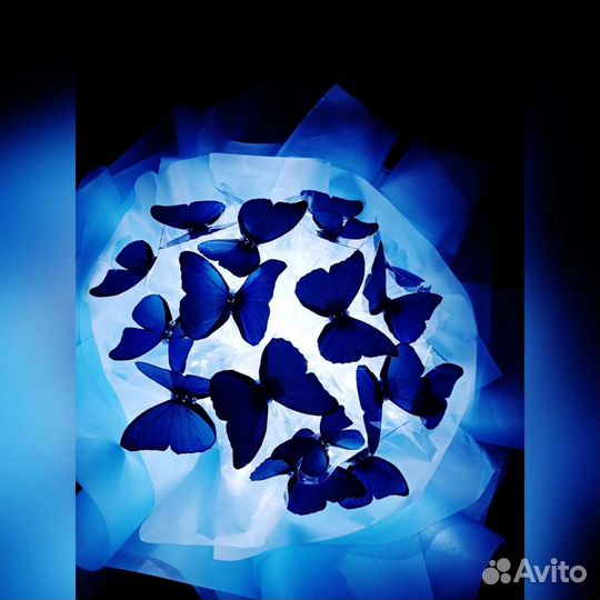 Букет из бабочек