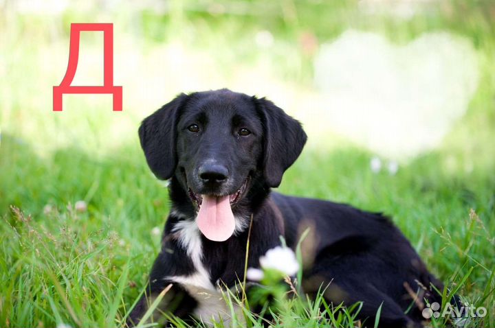 Малыши 3,5-4 мес