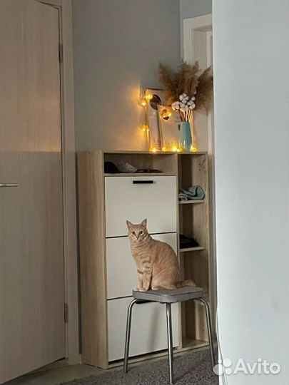 Обувница в прихожую новая