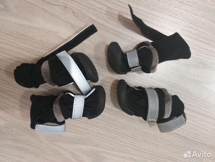 Сапоги для собак