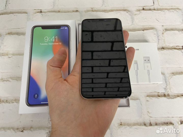 iPhone X, 256 ГБ