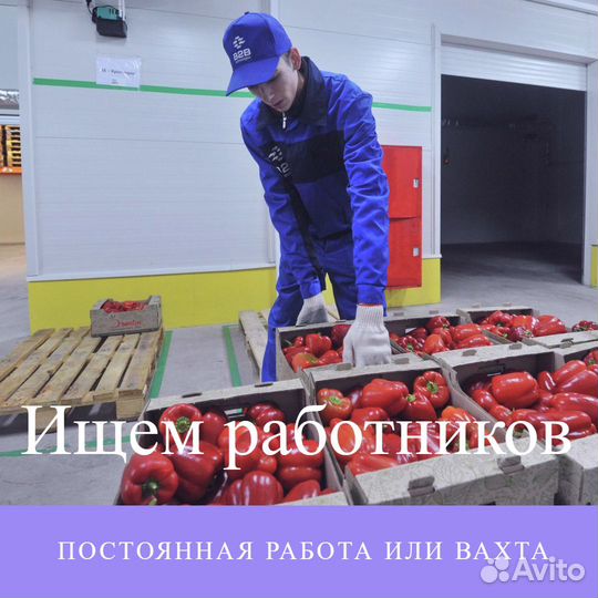 Вахта с проживанием