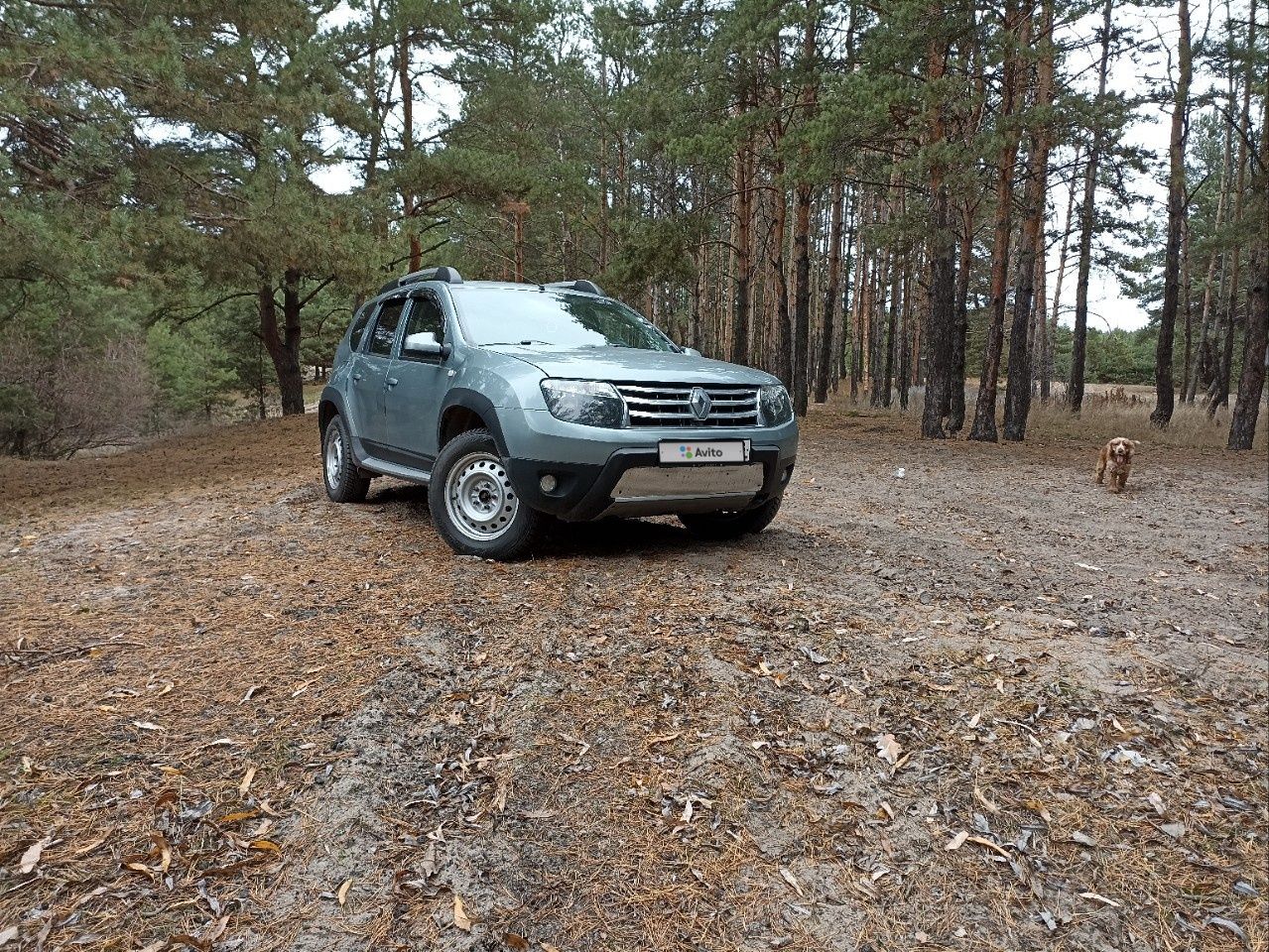 Renault Duster: фото владельца