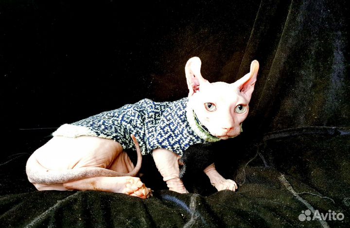 Двэльф. Девочка