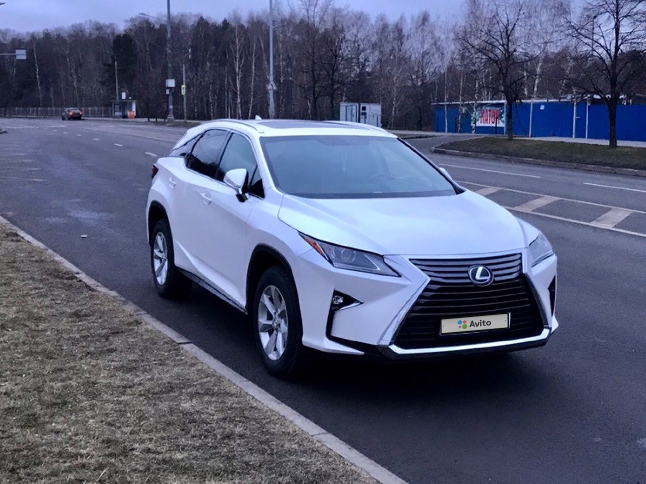 Lexus RX: фото владельца