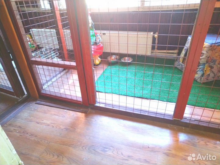 Зоопередержка и зоотакси