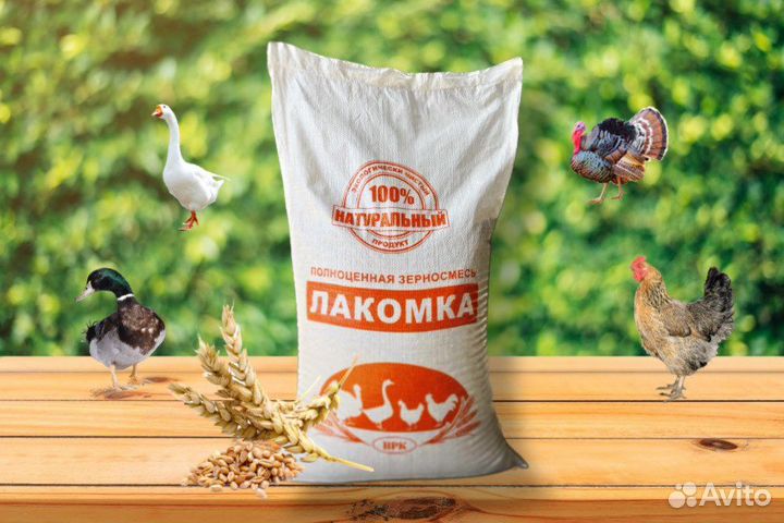 Полнорационные комбикорма - Зерносмесь «Лакомка»