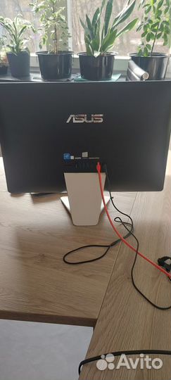 Моноблок asus