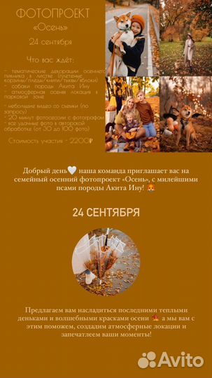 Фотопроект 