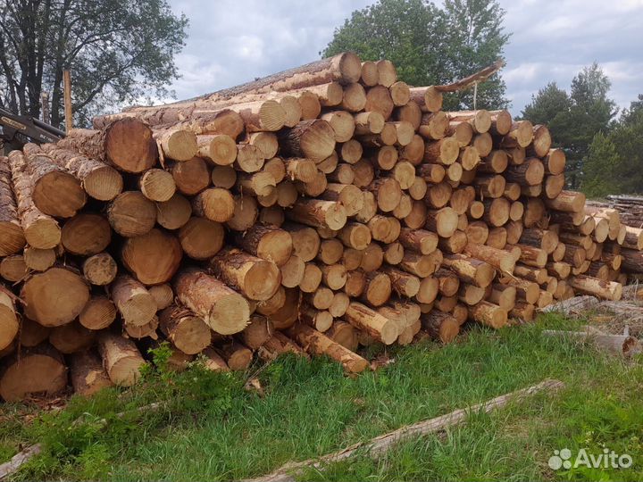 Пиловочник Хвойный