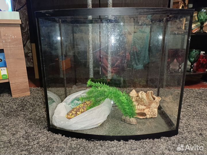 Аквариум