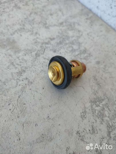 Термостат на лодочный мотор