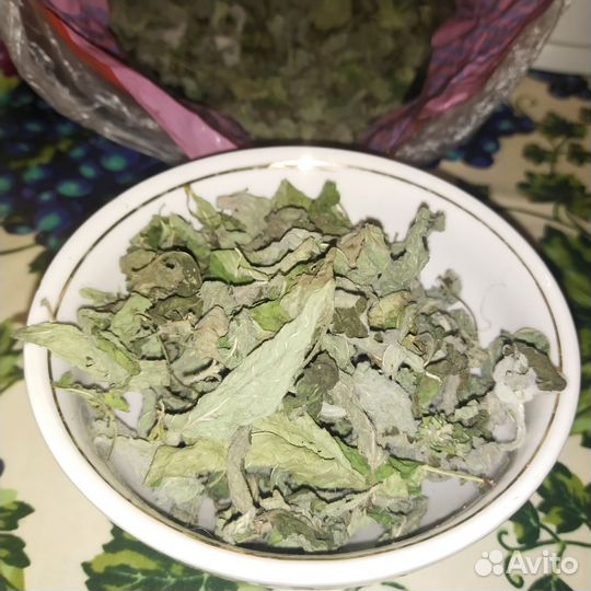 Мята домашняя