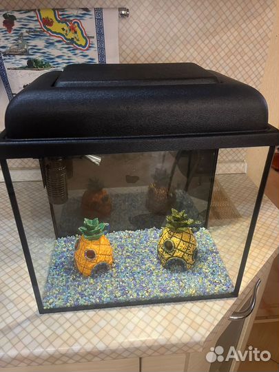 Аквариум