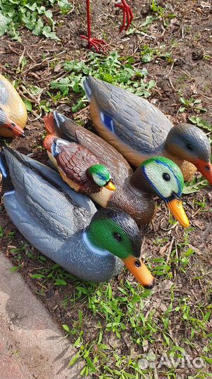 Подсадные утки