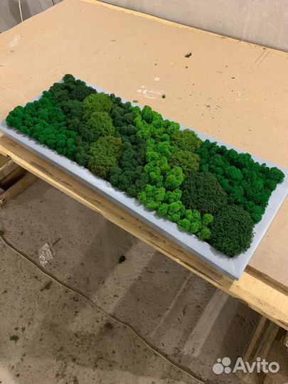 Панно из мха