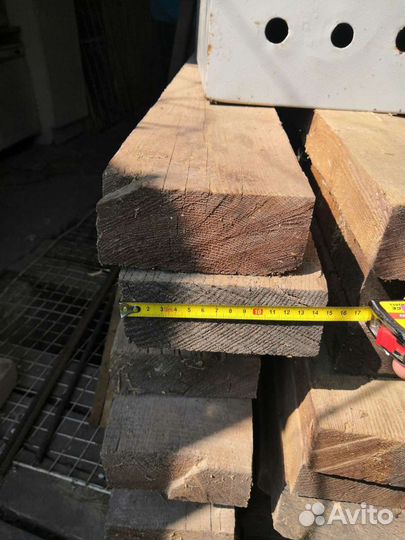 Лиственница сибирская