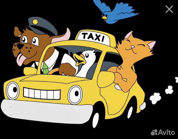 Зоотакси, перевозка домашних животных