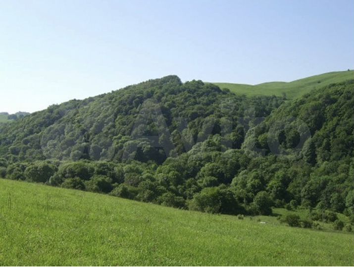 Участок 1,98 га (СНТ, ДНП)