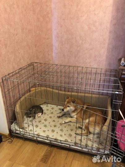 Клетка вольер для собак