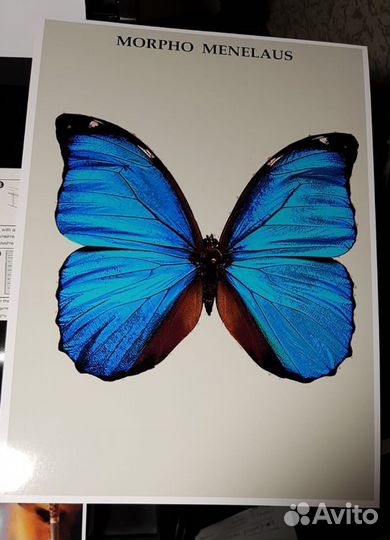 Принтер Epson L800 новый,в идеальном раб состоянии