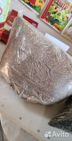 Ракушка кормовая