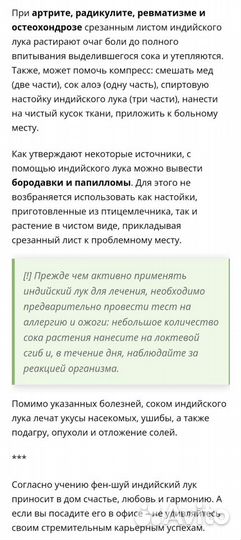 Индийский лук