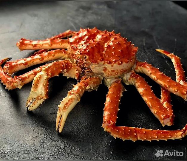Краб Камчатский