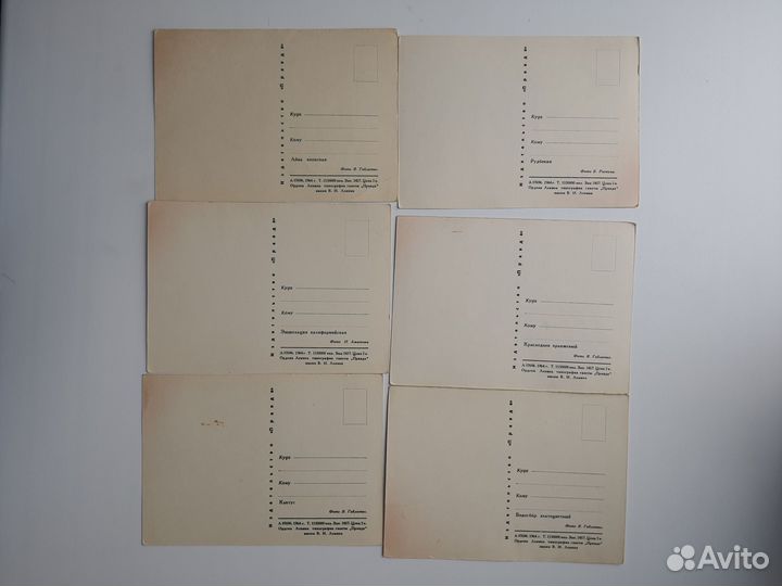Почтовые карточки. 1964г