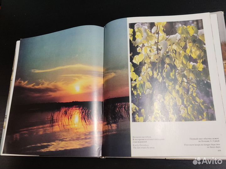 Заповедная Мещера