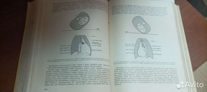 Клиническая кардиология. В.Йонаш. 1968