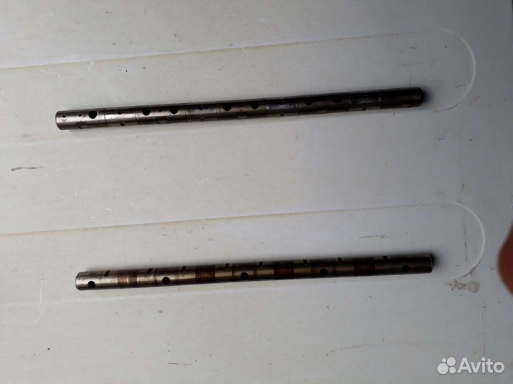 Ось коромысел