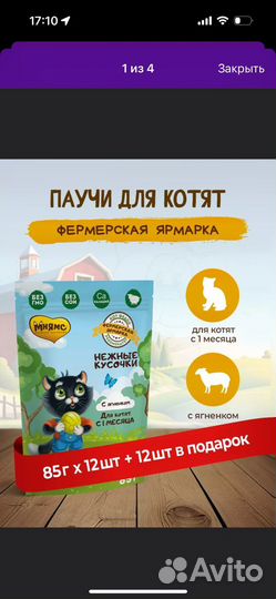 Паучи для котят