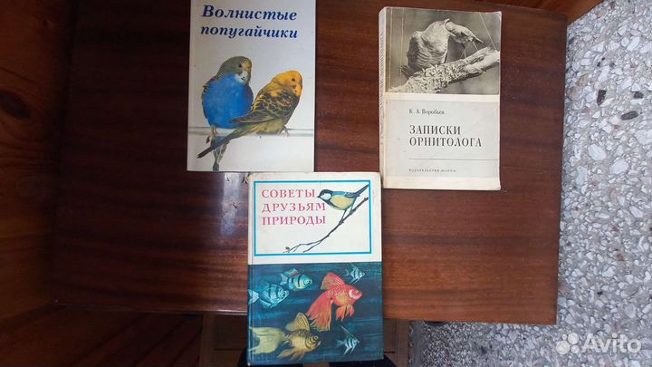 Журнал