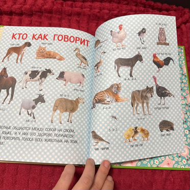 Развивающие книги