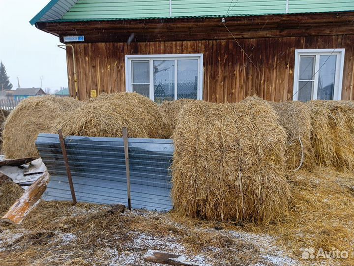 Солома овсяная в рулонах