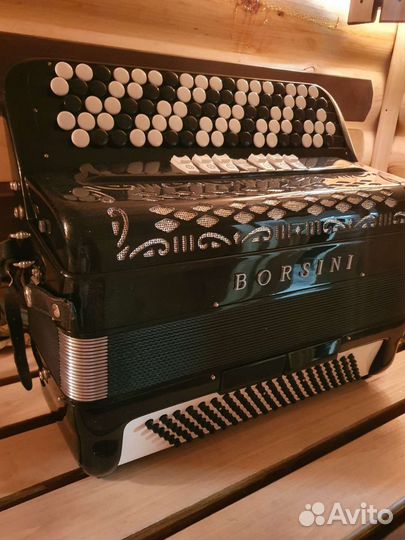 Итальянский баян барсик